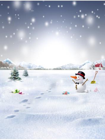 人形アイテム 人形用撮影背景の幕　y5950　クリスマス　雪降り跡