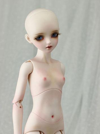 ドールボディ MSDサイズ人形用 一段体/三段体 女